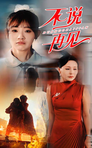 不说再见(31集) 不说再见(31集)推荐好短剧