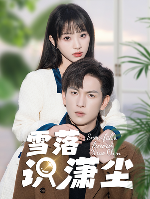 雪落识潇尘(80集) 雪落识潇尘(80集)去哪里看