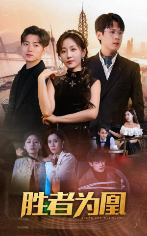 胜者为凰(89集) 胜者为凰(89集)全集在线看