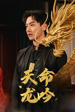 天命龙吟（48集）360网盘观看