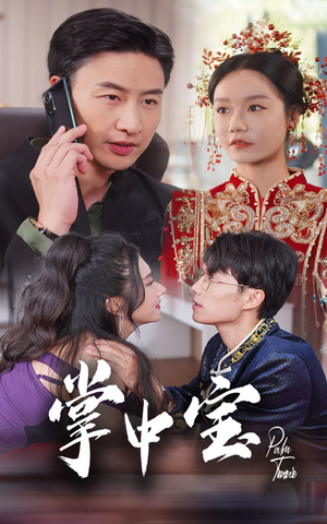 掌中宝（31集）在线免费观看