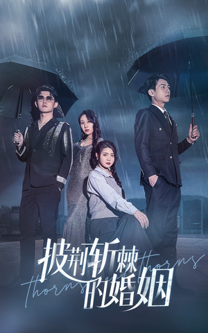 披荆斩棘的婚姻(70集) 披荆斩棘的婚姻(70集)评价怎么样