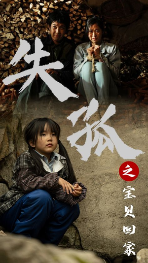 失孤之宝贝回家（71集）男主角是谁