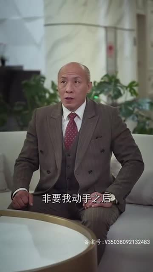 镇国主宰（90集）免费在线看全集