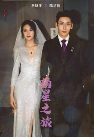 摘星之旅(88集) 摘星之旅(88集)最后的大结局