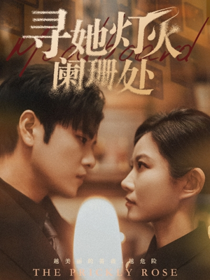 寻她灯火阑珊处（61集）短剧片段分享