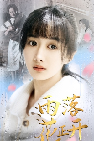 雨落花正开(62集) 雨落花正开(62集)好看的短剧来了