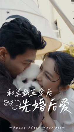 和总裁互穿后先婚后爱（60集）每天短剧分享