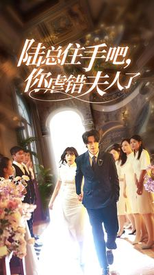 陆总住手吧,你虐错夫人了(80集) 陆总住手吧,你虐错夫人了(80集)火热短剧抢先看