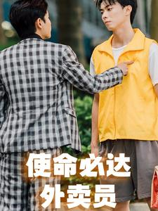 使命必达外卖员（31集）热播短剧全集看