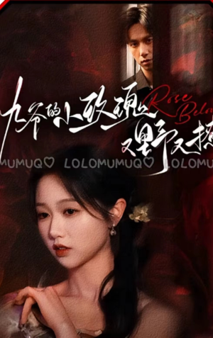 九爷的小玫瑰又野又撩(100集) 九爷的小玫瑰又野又撩(100集)短剧精彩推荐