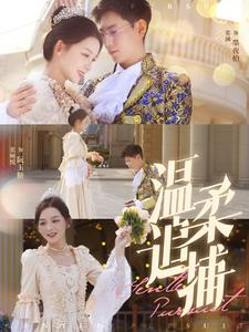 温柔追捕（89集）最新短剧推荐