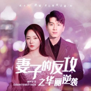 妻子的反攻之华丽逆袭（30集）在线免费观看