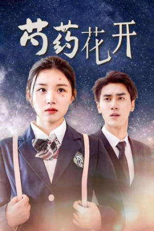 芍药花开（77集）精彩的短剧