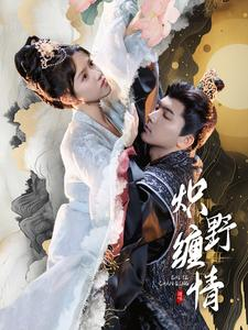 炽野缠情（95集）精彩短剧追不停