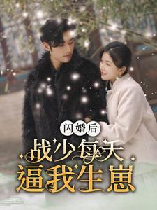 闪婚后战少每天逼我生崽（91集）精彩短剧抢先看