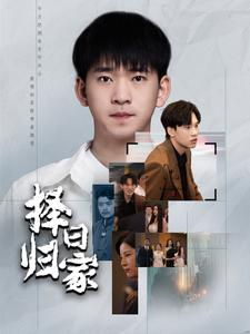 择日归家（60集）全集