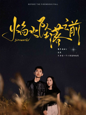 焰火坠落之前（99集）短剧免费看