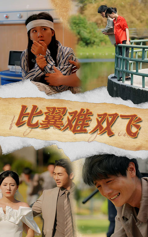 比翼难双飞(30集) 比翼难双飞(30集)经典回顾免费看