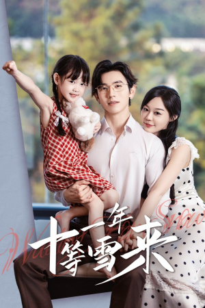 十一年等雪来（50集）短剧热播抢先看