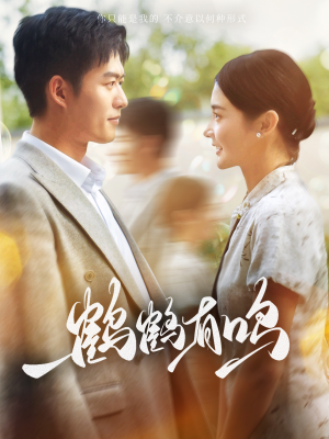 鹤鹤有鸣（87集）短剧全集完整