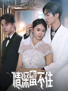 情深留不住(80集) 情深留不住(80集)口碑爆棚免费看