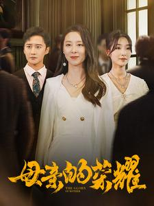 母亲的荣耀(80集) 母亲的荣耀(80集)好看的短剧推荐