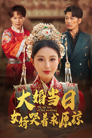 大婚当日，女婿哭着求原谅（31集）推荐你们也去看