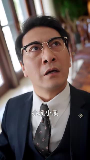 暗潮（30集）零花钱看整部剧