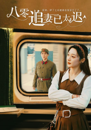 八零追妻已太迟（50集）最火短剧热播