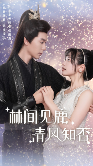 林间见鹿清风知否（62集）短剧有好货推荐