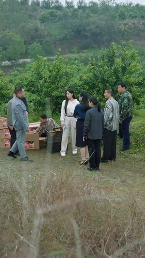 我本真心换薄情(49集) 我本真心换薄情(49集)免费观看完整版