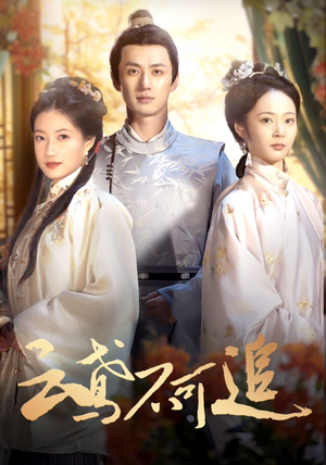 云鸢不可追(42集) 云鸢不可追(42集)短剧中追到爽