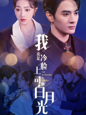 我竟是冷脸上司的白月光(80集) 我竟是冷脸上司的白月光(80集)短剧推荐分享
