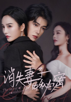 消失妻子的秘密（60）短剧在线看