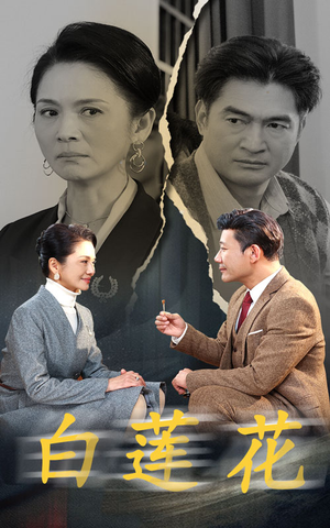 白莲花（40集）好看短剧分享