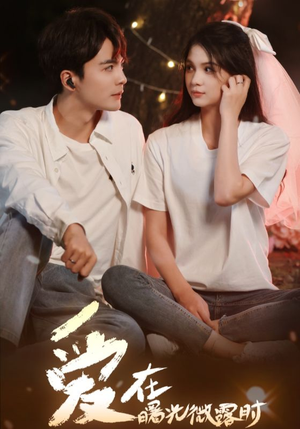 爱在曙光微露时(49集) 爱在曙光微露时(49集)我全都看完了