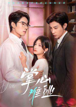 掌心难逃(63集) 掌心难逃(63集)全集免费