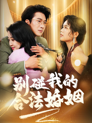别碰我的合法婚姻（30集）剧情简介