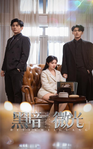 黑暗微光（66集）短剧更新抢先看