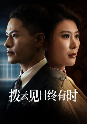 拨云见日终有时(30集) 拨云见日终有时(30集)经典回顾免费看