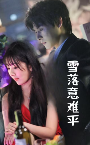 雪落意难平(35集) 雪落意难平(35集)短剧追不停