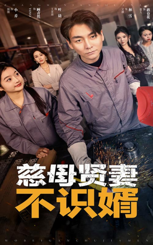 慈母贤妻不识婿(45集) 慈母贤妻不识婿(45集)全集