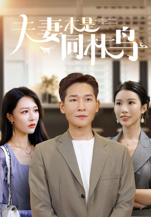 夫妻本是同林鸟（76集）短剧追到爽