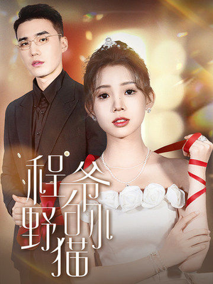 程爷的小野猫（40集）短视频追剧推荐