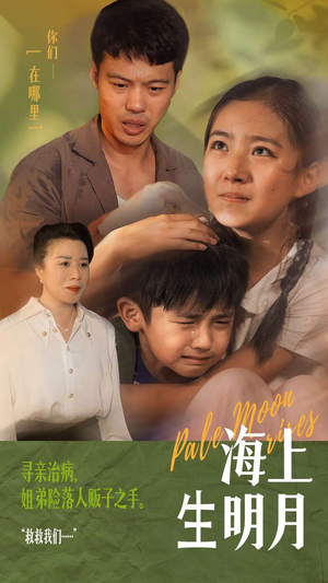 海上生明月（59集）热播短剧推荐