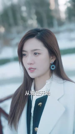 夫妻双双搞钱(82集) 夫妻双双搞钱(82集)第一集