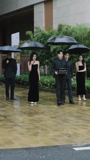 穿越星河拥抱你（100集）无需充值尽情看