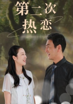 第二次热恋(48集) 第二次热恋(48集)古装热门短剧