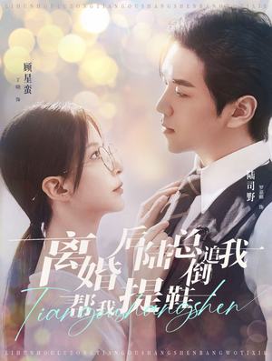 离婚后陆总倒追我帮我提鞋（100集）热门短剧排行榜